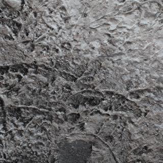 Photo Textures of Wall Plaster